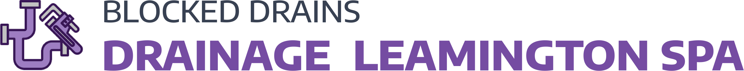 website logo